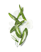 Load image into Gallery viewer, Mekabu Hydrating Salon Size Conditioner - Peakly